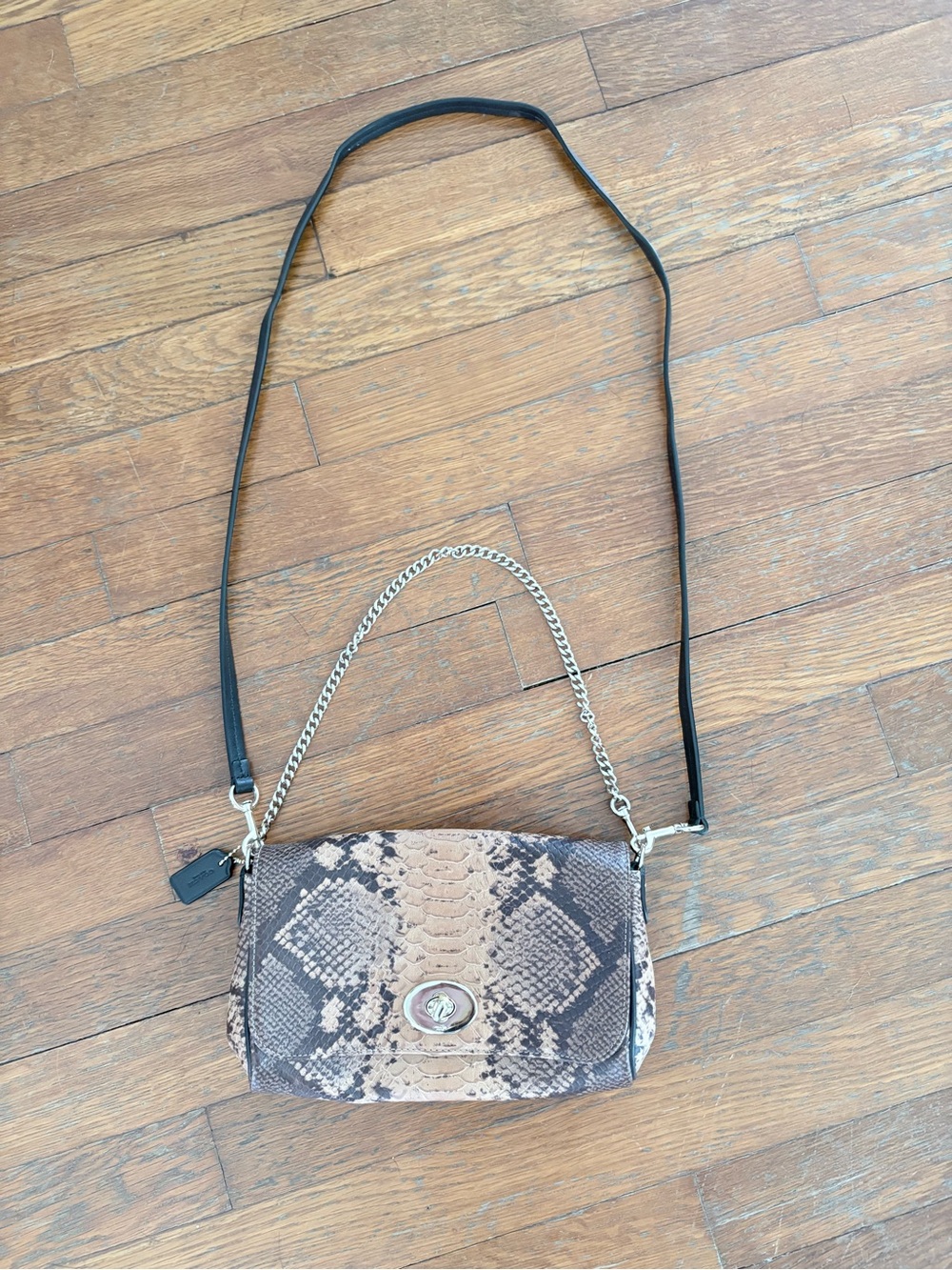 Coach Mini Ruby Snake-Print Crossbody Bag in Brown and Black